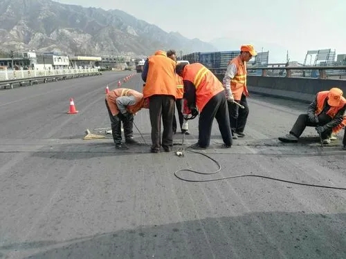 宝山道路桥梁病害治理